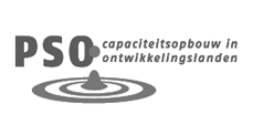 PSO